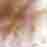 �X���P��ƨƷ~�޲z��s��