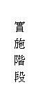 文字方塊: 實 施 階 段